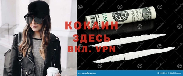 apvp Магас
