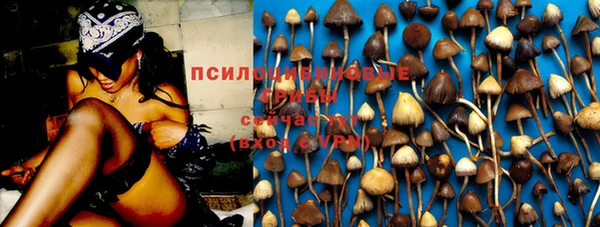 бутират Алзамай